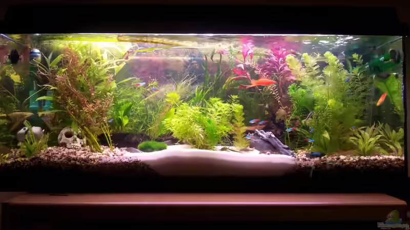 Umbau 07.10.12 von Snawatz (13)