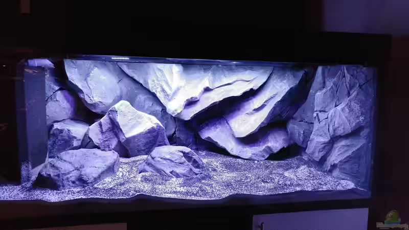 Umbau fertig von Mirko Zeisse (11)