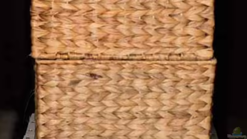 Umbau im Unterschrank .. ??nderungen bedeuten auch in nicht sichtbaren Bereichen von AjakAndi (19)