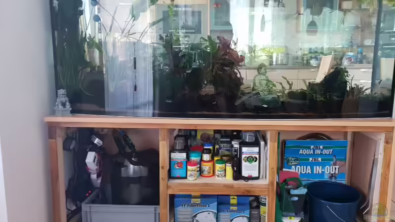 Umbau und Neugestaltung von Manuela&Mike (17)