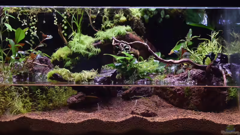 Umbau von 10.09.2017 von Junglist (11)