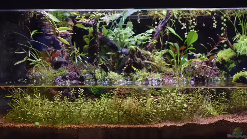 Umbau von 10.09.2017 von Junglist (13)