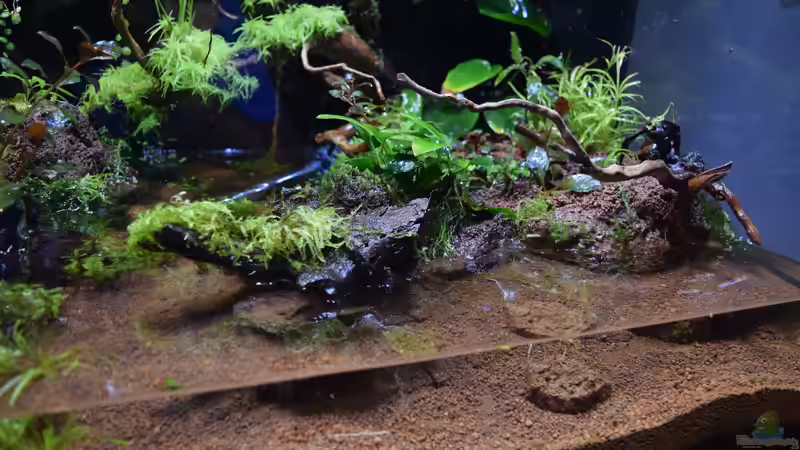 Umbau von 10.09.2017 von Junglist (14)