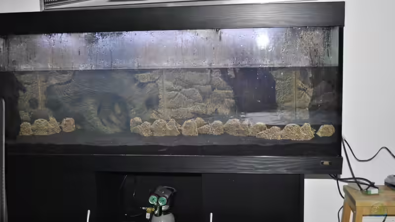 Umbau von Asterrati (4)