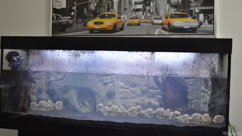 Umbau von Asterrati (5)