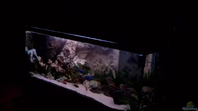 Umbaumaßnahme 2 von Christian Klar (4)