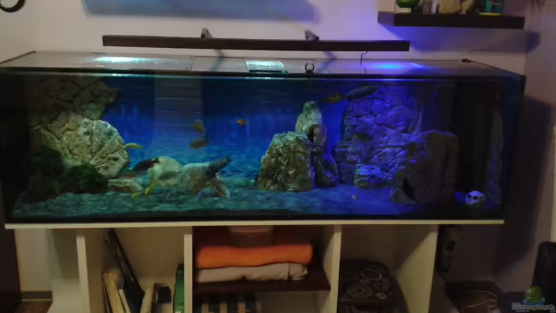 Umdekoriert von Noah (8)