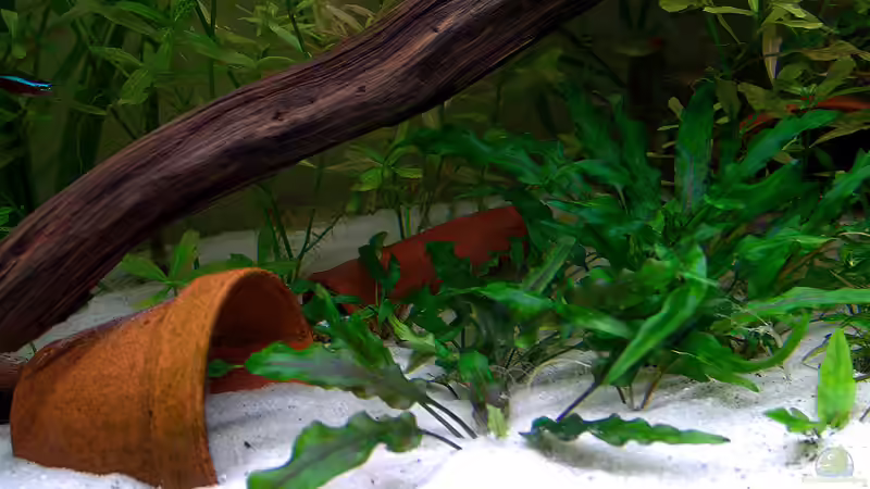 umfunktionierte Blumentöpfe und Tonröhre zum Verstecken von Stefan S. (6)