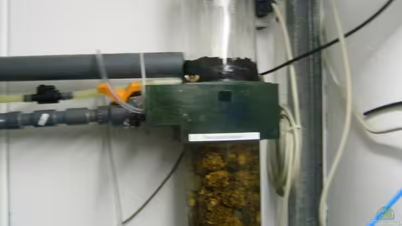 Umgebauter Eiweißabschäumer von Andreas L (27)