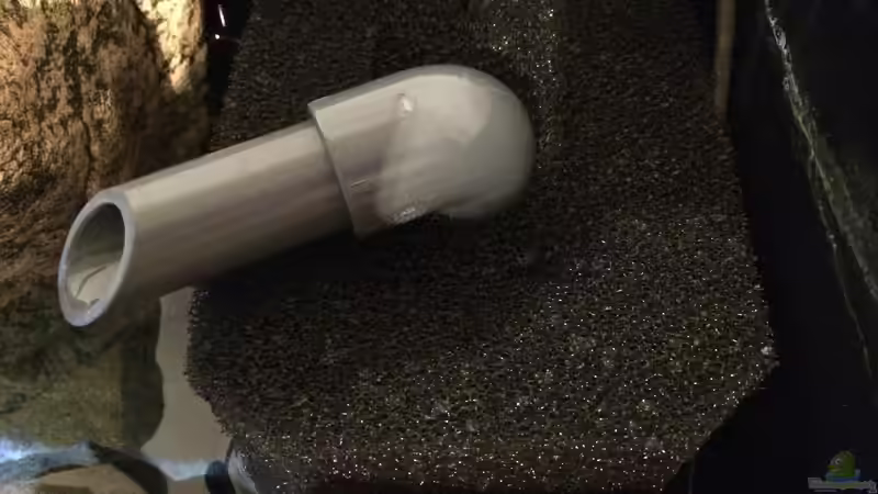 Umgebauter HMF von Branjo (29)