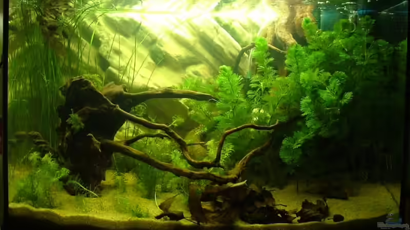 umgestaltet... von Palo (24)