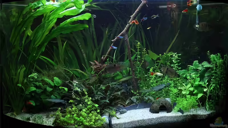 Umgestaltung. 10.01.14 von TDG (3)