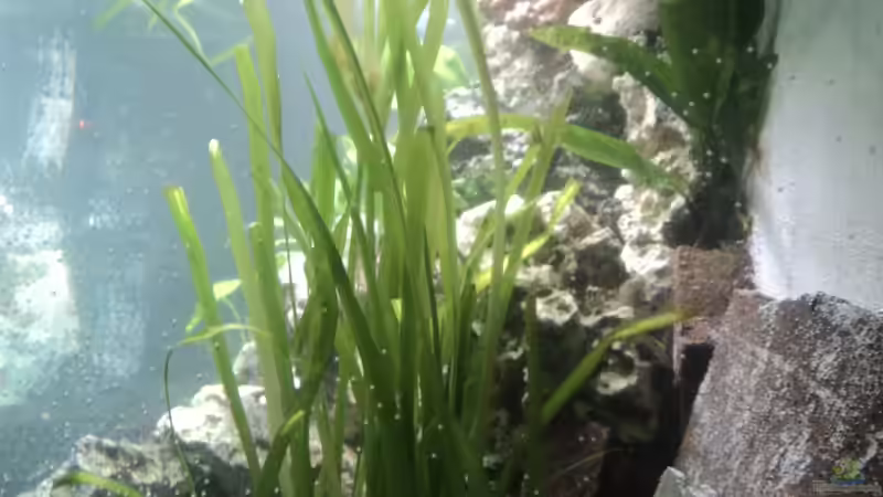 Umgestaltung 06.05.2012 von Malawiwelt (9)