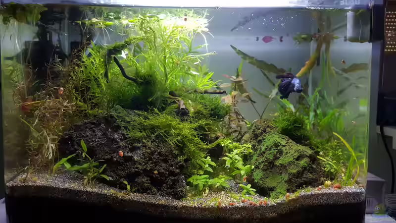 Umgestaltung 19.9.2018 von Mel (3)