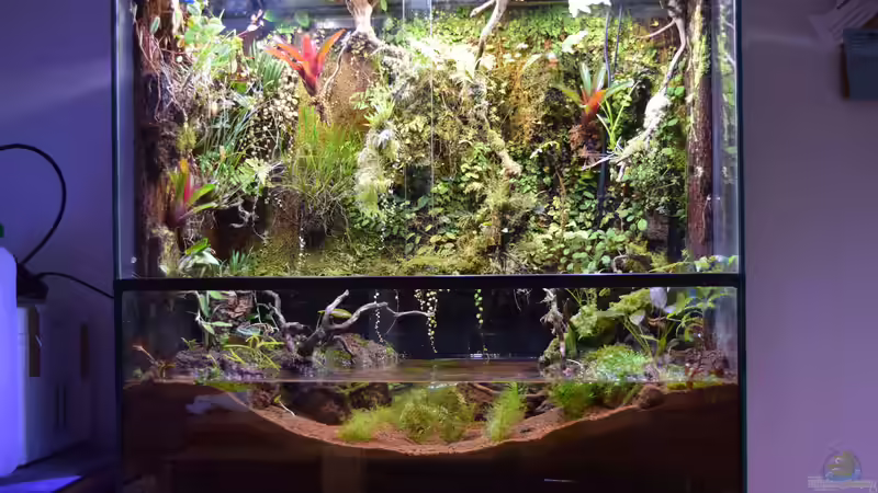 Umgestaltung am 06.02.2018 von Junglist (72)