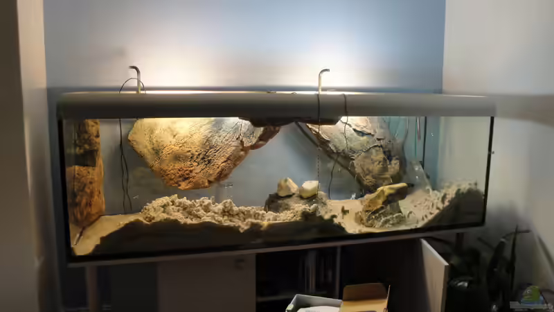 Umgestaltung mit Back to Nature Modulen am 25.1.2011 von Laura (13)