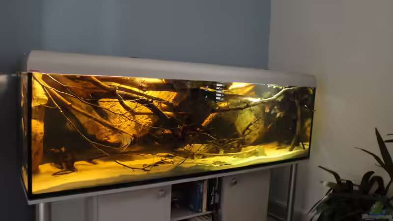 Umgestaltung mit Holz aus dem Wald 14.2.2011 von Laura (18)