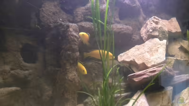 umgestaltung von Harry Penner (8)