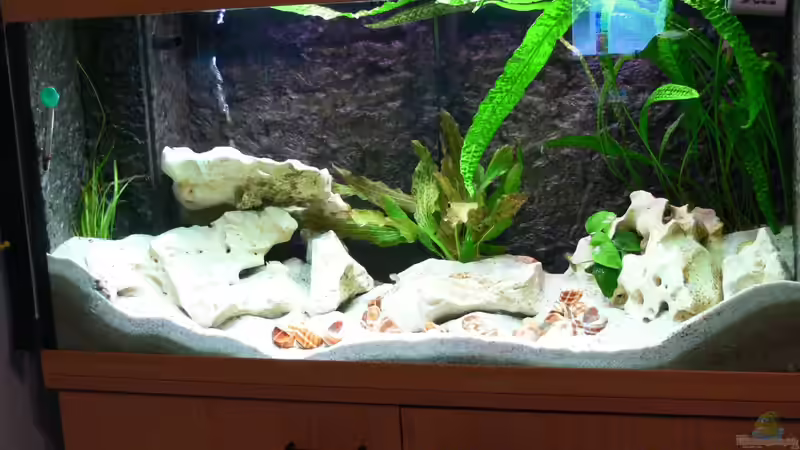 Umgrabe Aktion der Barsche am 06.10.2012 von DominikZ (9)