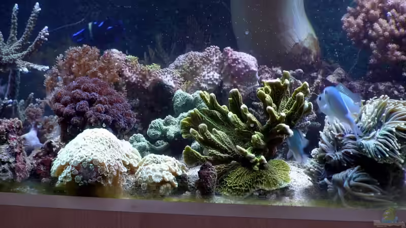 Umlagerung..... von René Geisler (19)