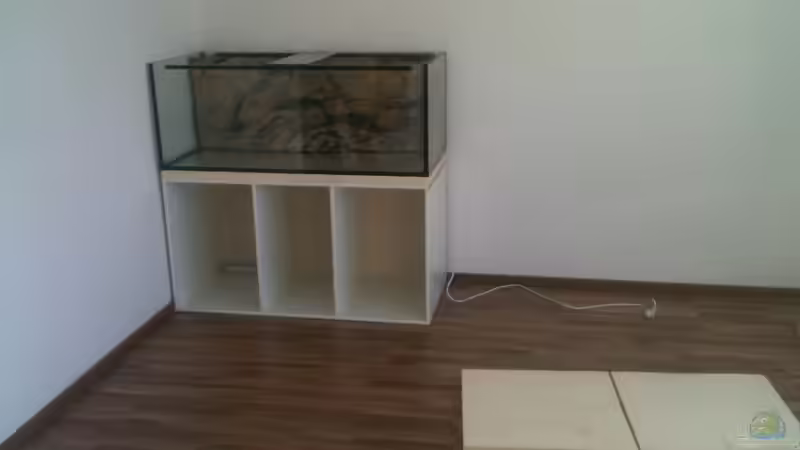 Umzug..und das wichtigste zuerst! von Matze38 (4)