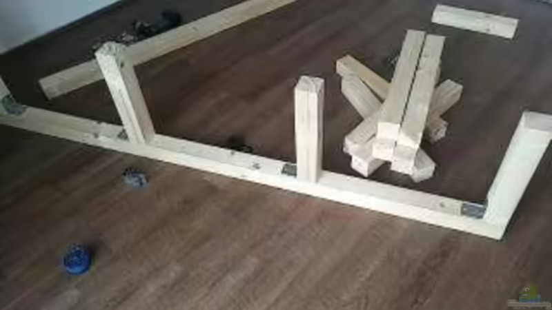 Umzug Ende 2014. Untergestell selbst hergestellt.  von Frank Hopp (24)