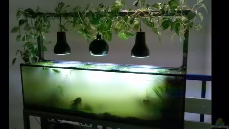 Umzug in neue Büro - 9h harte Arbeit, Sicht: 0 von koba2 (4)