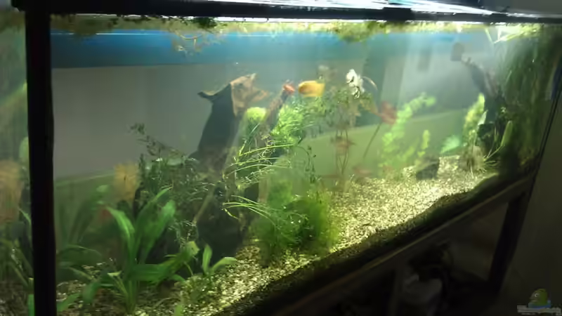 Umzug in neue Büro - nach 2 Tagen endlich klare Sicht von koba2 (3)