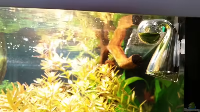 Unabhängige visuelle ??berwachung der automatisierten Technik von Betta Chris (122)