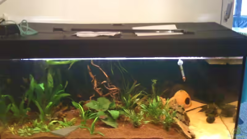 unaufgeräumt..... von Jürgen Müller (2)