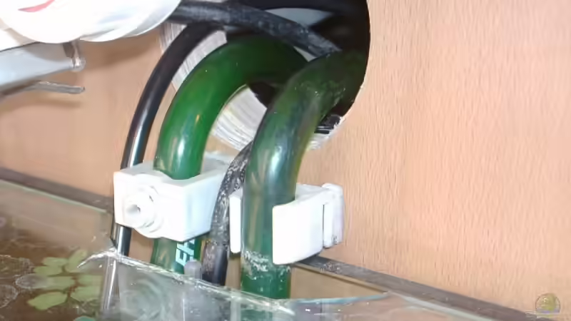 Und ab ins AQ von Zwanni (29)