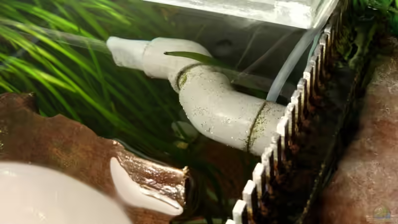 und da kommts wieder raus von Oliver Boden (30)