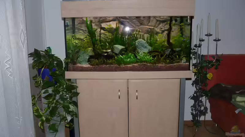 Und da steht es ;) von Zewana (4)