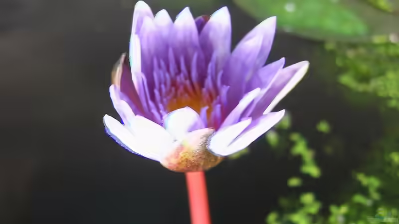 und dann geschah es... von Olli (8)