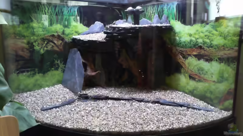 und dann noch ein kleines Mäuerchen damit der Kies da bleibt wo er hin gehört. von Dieter Pr (6)