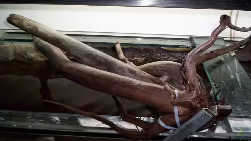 Und das ? von Didi (36)