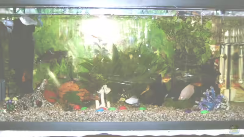 UND DAS LETZTE :o) von Enrico Bergmann (6)