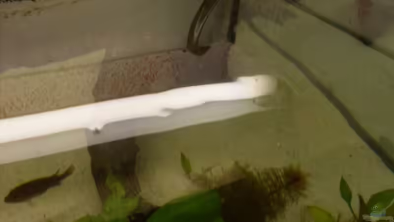 Und der andere lifalili von Benjamin Sälzer (12)