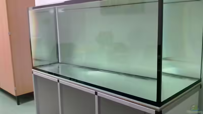 und der Belastungstest von A. Schmidt (6)