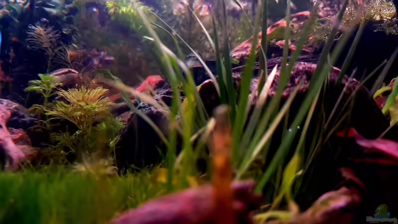 Und der kleine aus einer anderen Perspektive von Sven Schaefer (15)