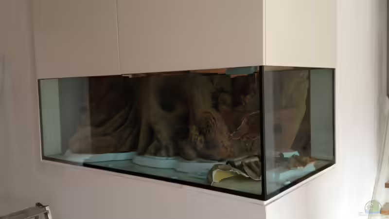 und die Abdeckung von Tooooni (7)