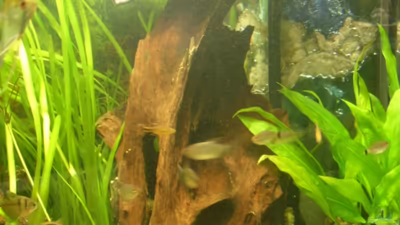 und die letzte von Oliver Boden (23)