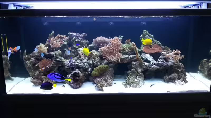 Und es wird besser ! von urbi (93)