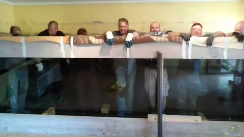 Und heil eingesetzt ! von Pearlray (11)