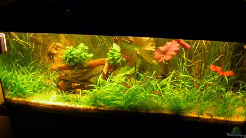 und Heute 3.5.07 von Daniel Schad (2)