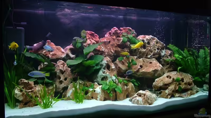 Und hier nochmals von der linken Seite von Martin Priemetshofer (3)