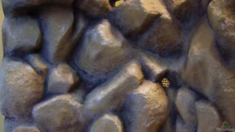 und jetzt mit Farbe und in bunt von Oliver Czaika (7)