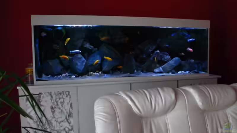 und jetzt mit Wasserbausteinen..Aktuell von Frank Hopp (41)