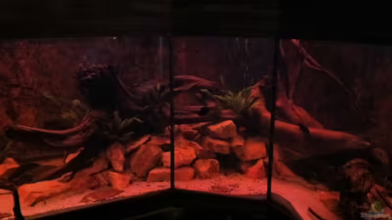 Und langsam geht die Sonne auf. von GGuardiaNN (14)