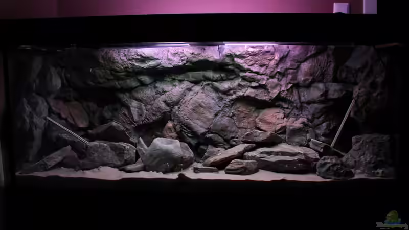 Und mit Modulen aber noch gestützt zum trocknen von Koehler (4)